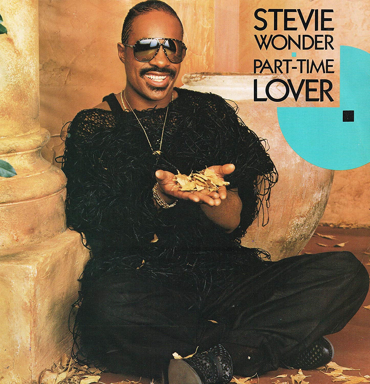 ミュージシャン紹介 Stevie Wonder 独特なコード感を持つ盲目の天才 のび太のギターブログ